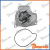Pompe à eau pour MITSUBISHI | CPW-MS-000, 1300A049